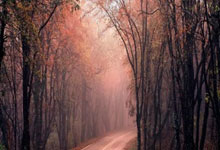 德信体育：美国说“快了” 乌克兰如何签矿产协议？.