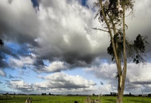 歐洲冠軍聯賽16強對陣表.