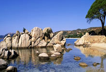 尼斯和尤文談判停滯，托迪博轉而考慮加盟西漢姆.